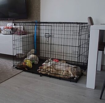 Klietka pre psa XL 107x71x78 cm + misky - 4