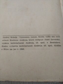 Kniha Vzbúrenc - 4