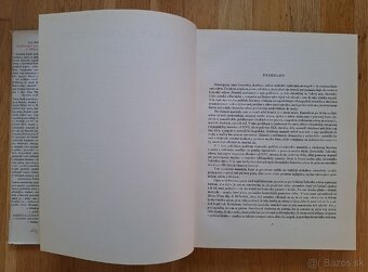 Slovensky ludovy odev v minulosti - 4