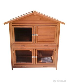 Zakrslý králik , zajac - 4