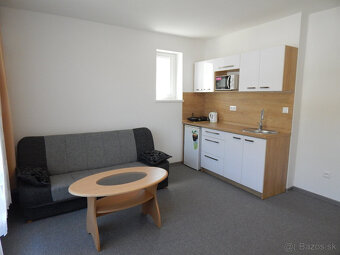 Trenčianske Teplice apartmány ubytovanie aj pre samoplatcov - 4