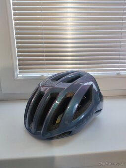 Scott centric plus mips - 4