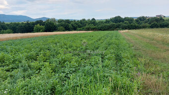 pozemok na predaj - 4