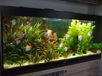 Predam akvarium kompletne s prislušenstvom bez ryb - 4