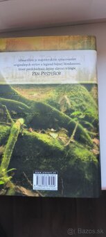 Tolkien - 4