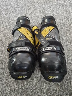 holene bauer ultrasonic 9 - 4