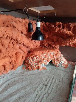 Krasne velke terarium - 4