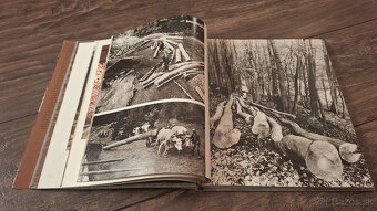 Drevené stavby na Slovensku - 4