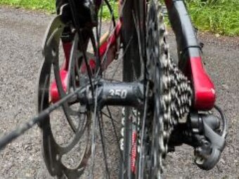 Sunn Kern Finest - 4