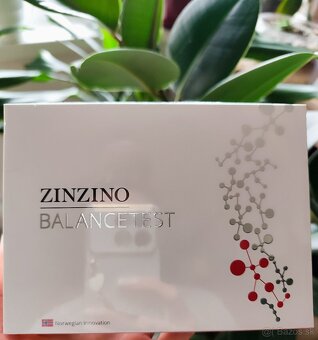 Balance test ZINZINO - 4