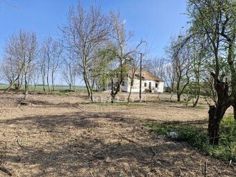 Staršia usadlosť s potenciálom na 83 árovom pozemku na... - 4
