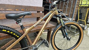 Dirt bike BeFly - 4
