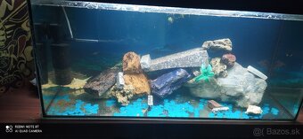 Akvarium 180L - 4