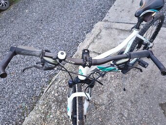 Ctm charisma 2.0 - 4