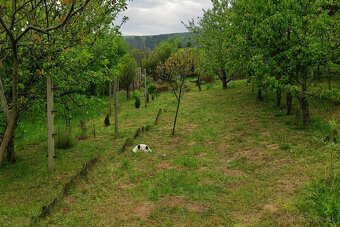 Záhrada ( Nové Mesto nad Váhom) - 4