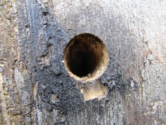 jatočný prístroj model 4 (pukál) - 4