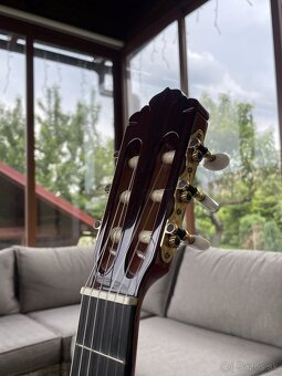Klasická gitara- Almansa 457 M Traditional 4/4 - 4