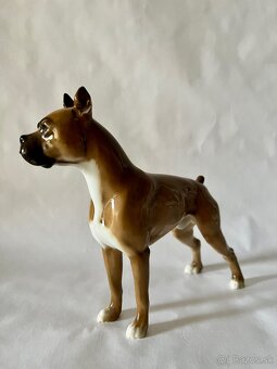 Porcelanove psy Hutschenreuther boxer - 4