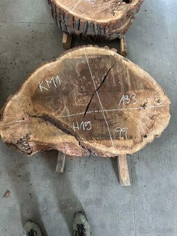 Vysušené orechové ,dubové, jaseňové koláče / priečne rezy - 4