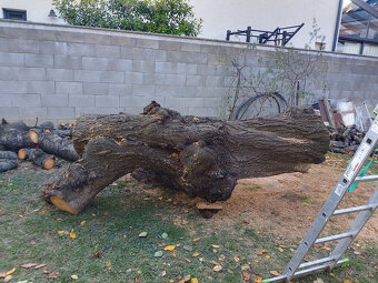 Čerešňové drevo - 4