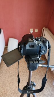 Panasonic Lumix DMC-FZ300 - 4