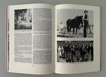 Karlova Ves - monografia, história - 4