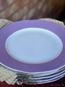Tanierova sada fialky - 4