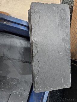 Bridlice do akvaria - bridlica - 4