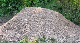 Štiepka z tvrdého dreva - 4