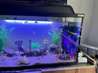 Predám 120 litrove zabehnuté akvarium - 4