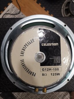 gitarovy reproduktor 250w s G12H100 - 4