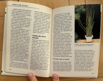 Kniha Izbové bonsaje Wolfgang Kawollek za 5eur - 4