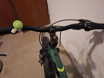 Kellys Lumi 50 green 20'' - 4