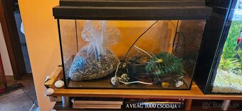 Akvarium s prislusenstvom - 4