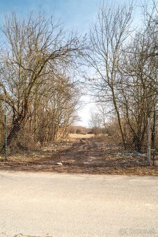 Veľkorysý pozemok pre rodinné domy - Veľké Kapušany - Predaj - 4