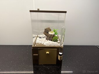 🐜 Predám formikárium + kolóniu Camponotus nicobarensis (krá - 4