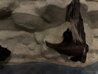 Terárium s 3D stenou 100x50x40 cm - 4