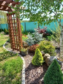 Realizácie záhrad,rez ovocných stromov a drevín - 4