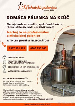 Predám Marhule na kvas cena 0,86 eur kg cukornatosť 23 brix - 4