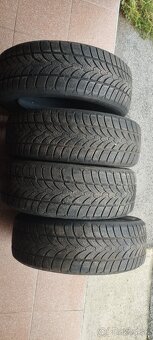 Platin RP60 winter 195/55 r16 - 4