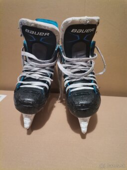 Bauer - 4