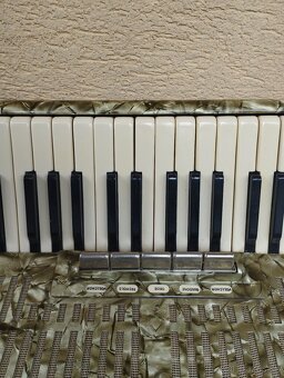 Harmonika weltmeister akordeón,delicia ,melodia - 4