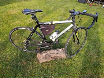 Torpado Destiero 19" - 4