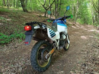 Aprillia tuareg 350 - 4