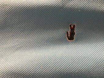 NOVÉ LACOSTE belasé damske polotricko S - 4