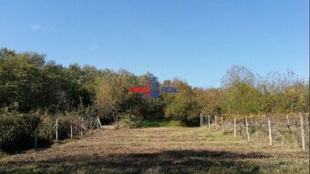 Rekreačný pozemok nad Račou neďaleko Stupavskej ulice - 2313 - 4