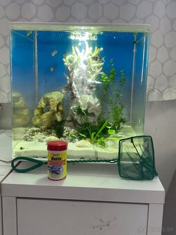 Pseudo-morské akvárium - 4