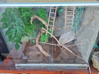 Predám terarium pre chamelona - 4