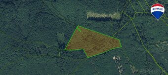 Les v katastrálnom území Vydrná 38460m2 - 4