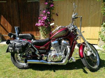 suzuki - 4